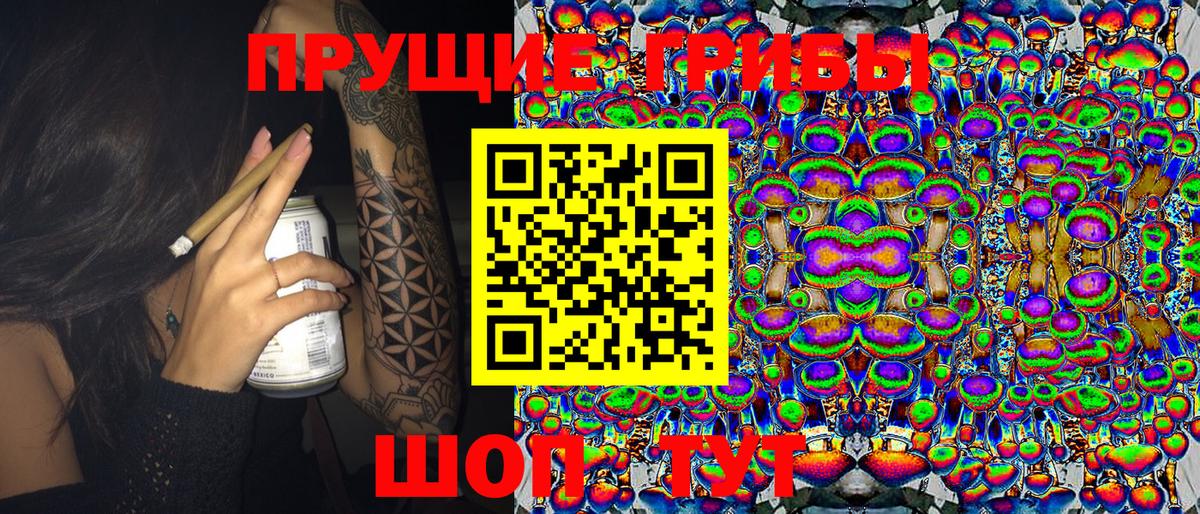 Псилоцибиновые грибы мицелий Великий Устюг
